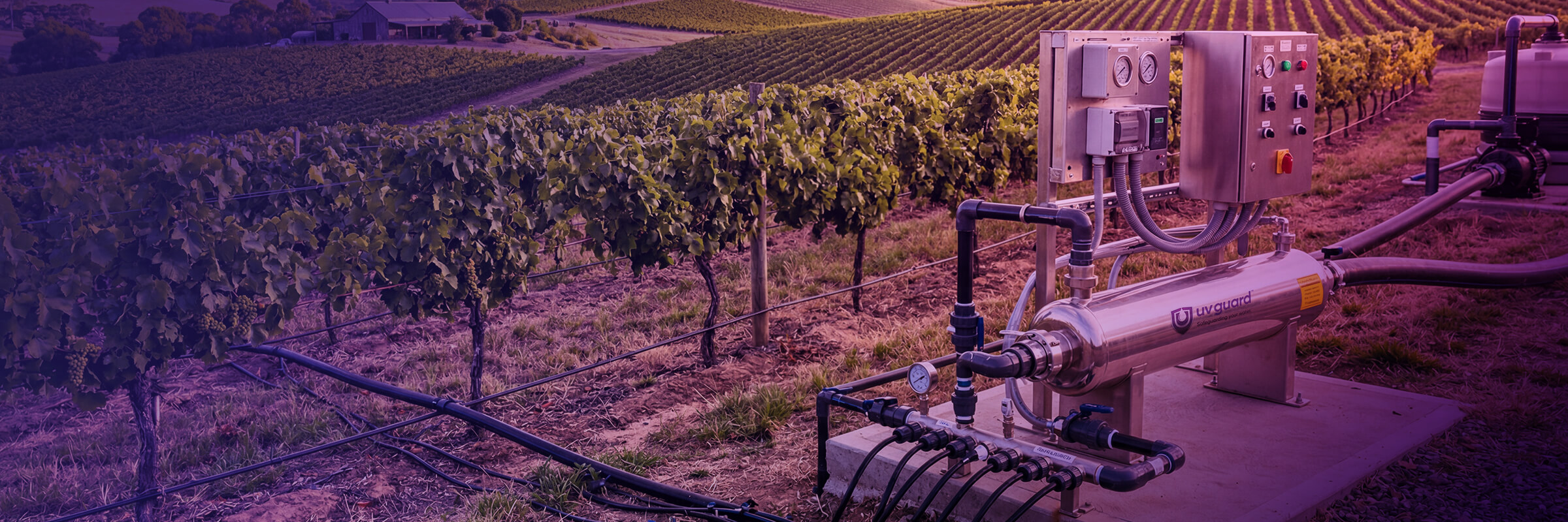 Featured Image UV Water Disinfection for Agriculture and Irrigation – What Growers Need to Know